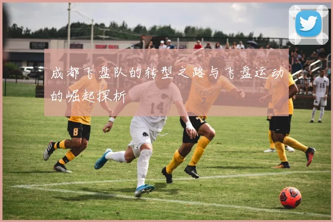 成都飞盘队的转型之路与飞盘运动的崛起探析